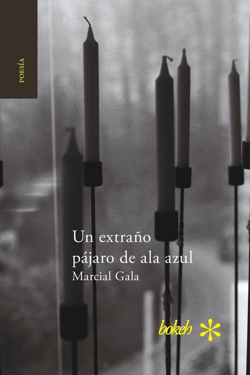Produktbild: Un extra&ntilde;o p&aacute;jaro de ala azul
