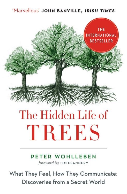 Produktbild: The Hidden Life of Trees