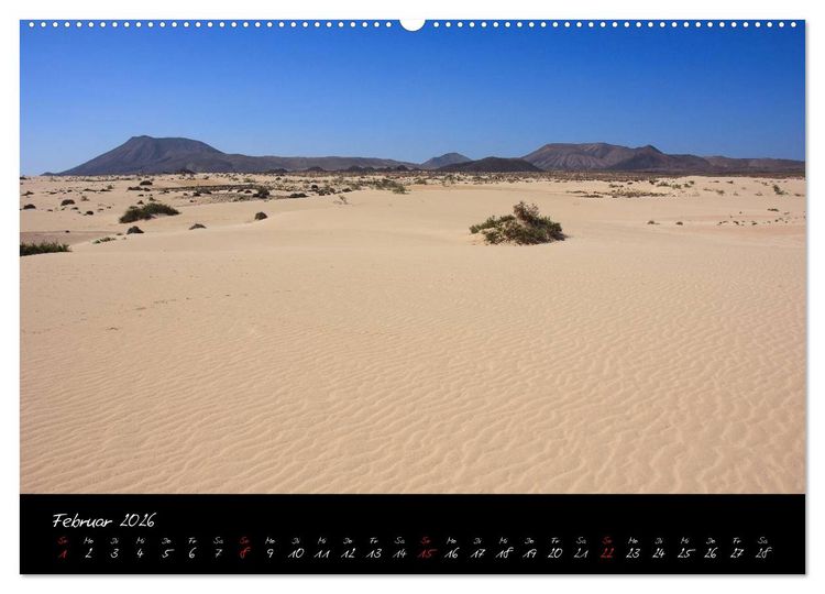 Produktbild: Fuerteventura (Wandkalender 2026 DIN A2 quer), CALVENDO Monatskalender