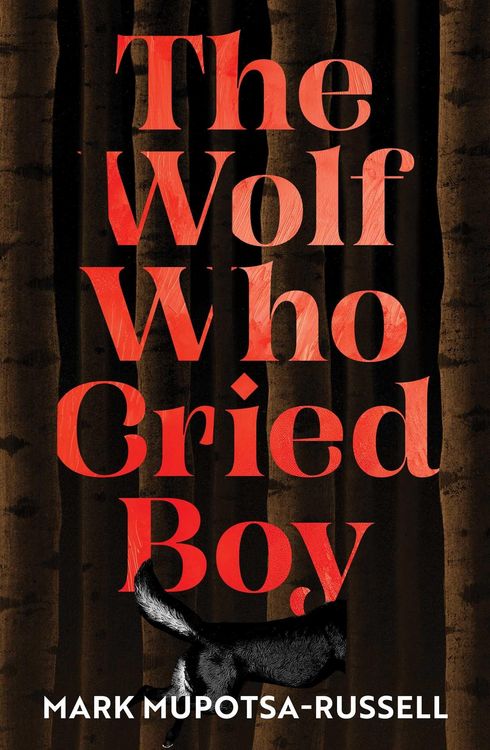Produktbild: The Wolf Who Cried Boy