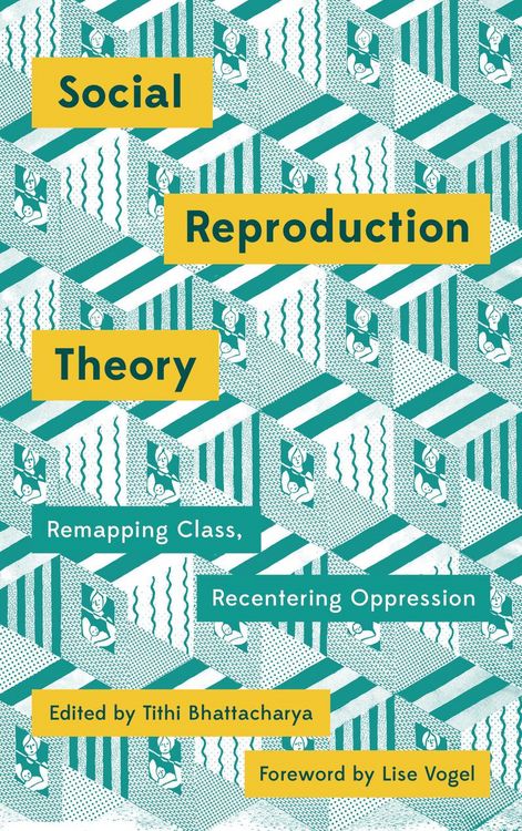 Produktbild: Social Reproduction Theory