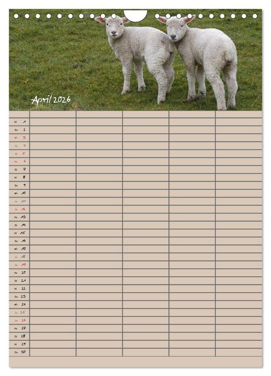 Produktbild: Der bel&auml;mmerte Familienplaner (Wandkalender 2026 DIN A4 hoch), CALVENDO Monatskalender
