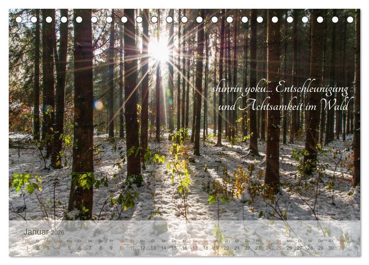 Produktbild: Shinrin yoku - Waldbaden 2026 (Tischkalender 2026 DIN A5 quer), CALVENDO Monatskalender