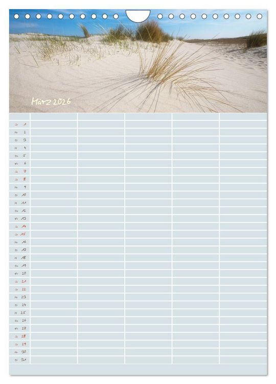 Produktbild: Kleine Sand-Sch&ouml;nheiten / Familienplaner (Wandkalender 2026 DIN A4 hoch), CALVENDO Monatskalender