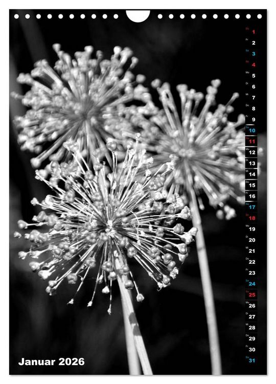 Produktbild: Blumige Graustufen - Schwarz und Wei&szlig; (Wandkalender 2026 DIN A4 hoch), CALVENDO Monatskalender