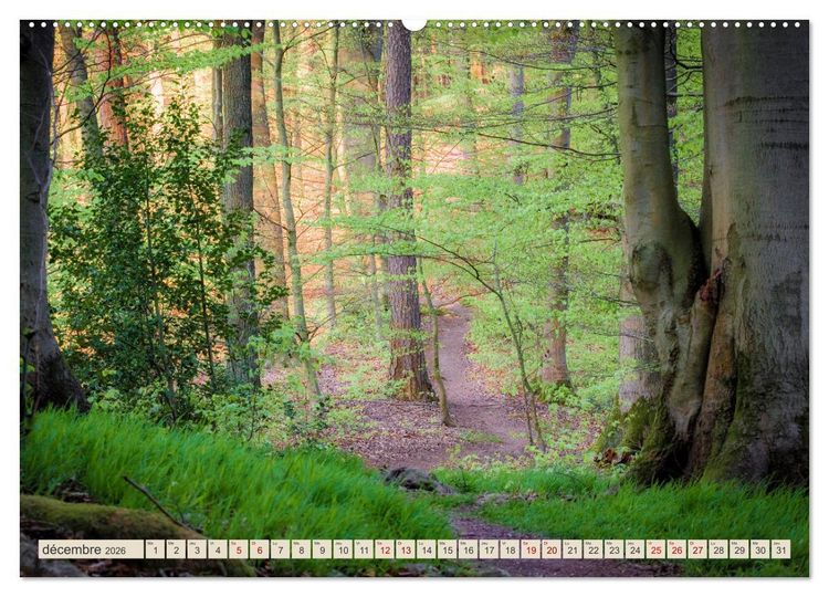 Produktbild: L'Allemagne, tes paysages (Calendrier mural 2026 DIN A2 vertical) calendrier de bureau