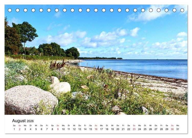 Produktbild: Strande und B&uuml;lk 2026 (Tischkalender 2026 DIN A5 quer), CALVENDO Monatskalender