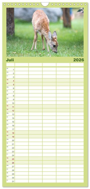 Produktbild: Familienplaner 2026 - Heimische Tiere - Rehe mit 5 Spalten (Wandkalender, 21 x 45 cm) CALVENDO