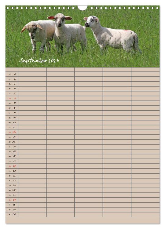 Produktbild: Der bel&auml;mmerte Familienplaner (Wandkalender 2026 DIN A3 hoch), CALVENDO Monatskalender