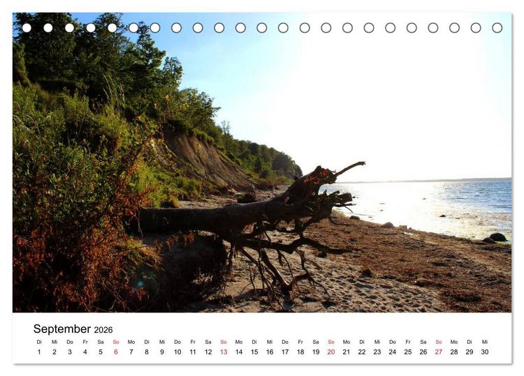 Produktbild: Ostseek&uuml;ste 2026 (Tischkalender 2026 DIN A5 quer), CALVENDO Monatskalender