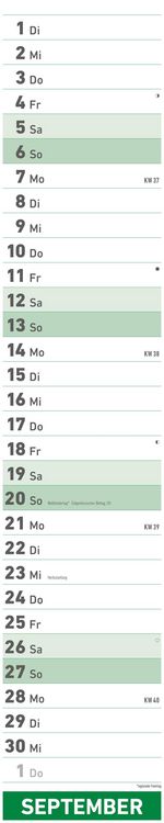 Superplaner 2026 - Streifenkalender 17x85 cm - mit Ringbindung - viel Platz für Notizen - Langplaner - Wandkalender - Küchenkalender - Alpha Edition