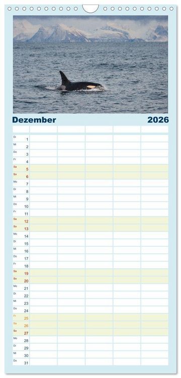 Produktbild: Familienplaner 2026 - Die Wale von Andenes mit 5 Spalten (Wandkalender, 21 x 45 cm) CALVENDO