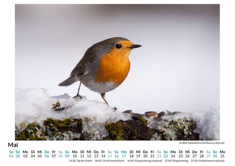 Produktbild: Tiere in Eis und Schnee