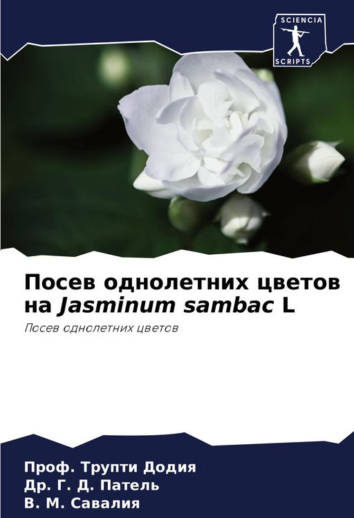 Produktbild: Posew odnoletnih cwetow na Jasminum sambac L