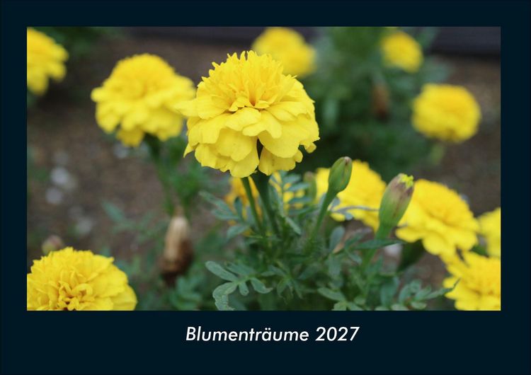 Produktbild: Blumentr&auml;ume 2027 Fotokalender DIN A4