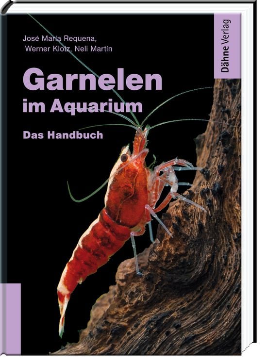 Produktbild: Garnelen im Aquarium
