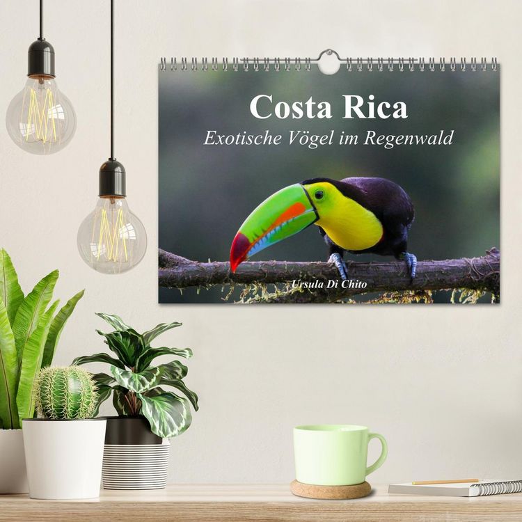 Produktbild: Costa Rica - Exotische V&ouml;gel im Regenwald (Wandkalender 2026 DIN A4 quer), CALVENDO Monatskalender
