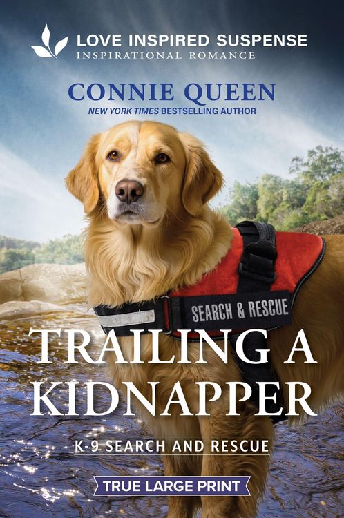 Produktbild: Trailing a Kidnapper