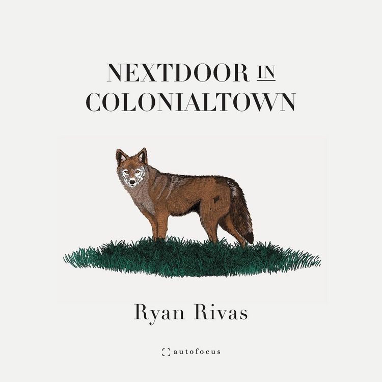 Produktbild: Nextdoor in Colonialtown