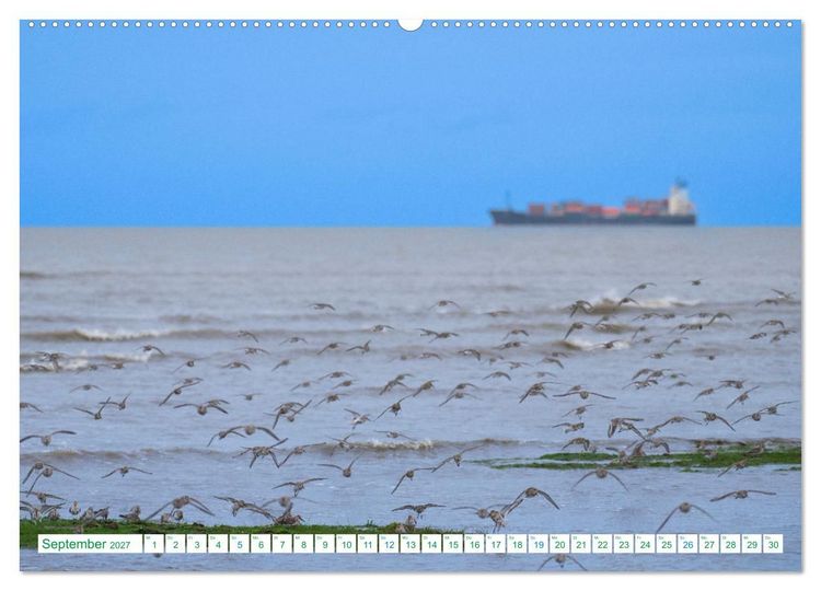 Produktbild: Schillig und Horumersiel - Im Wangerland unterwegs (Wandkalender 2027 DIN A2 quer), CALVENDO Monatskalender
