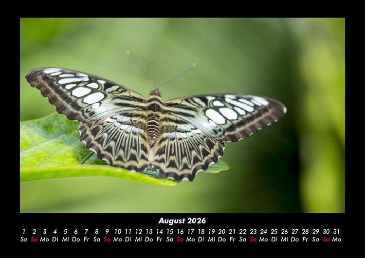 Produktbild: Welt der Tiere 2026 Fotokalender DIN A3