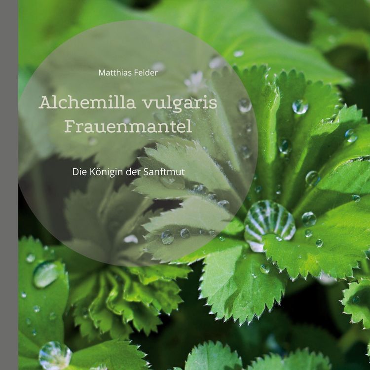 Produktbild: Alchemilla