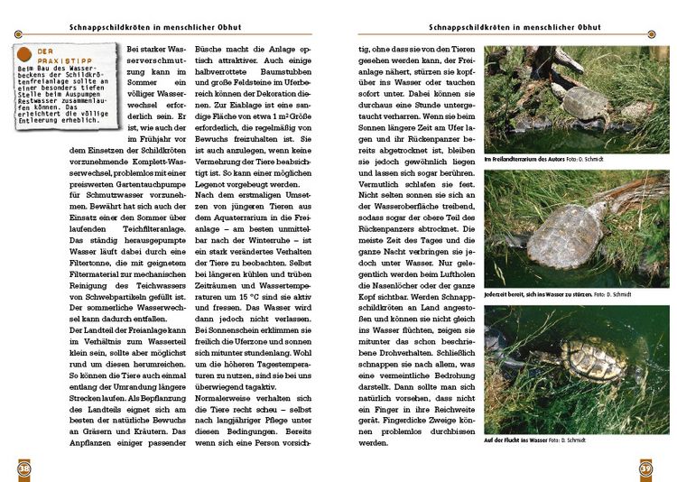 Produktbild: Die Schnappschildkr&ouml;te