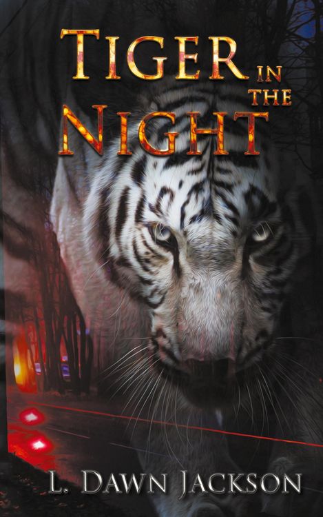 Produktbild: Tiger in the Night