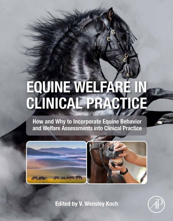 Produktbild: Equine Welfare in Clinical Practice