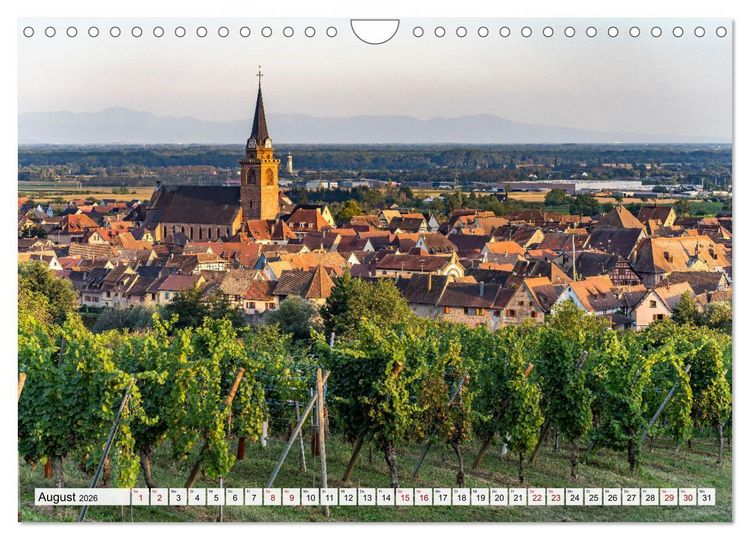 Produktbild: Die Els&auml;sser Weinstra&szlig;e (Wandkalender 2026 DIN A4 quer), CALVENDO Monatskalender