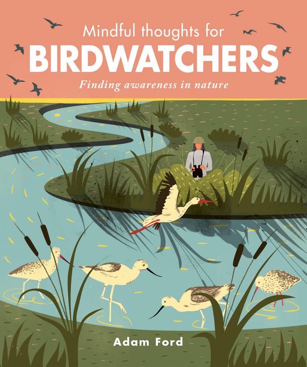 Produktbild: Ford, A: Mindful Thoughts for Birdwatchers