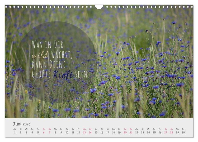 Produktbild: Sanfte Bl&uuml;ten &ndash; leise Worte (Wandkalender 2026 DIN A3 quer), CALVENDO Monatskalender