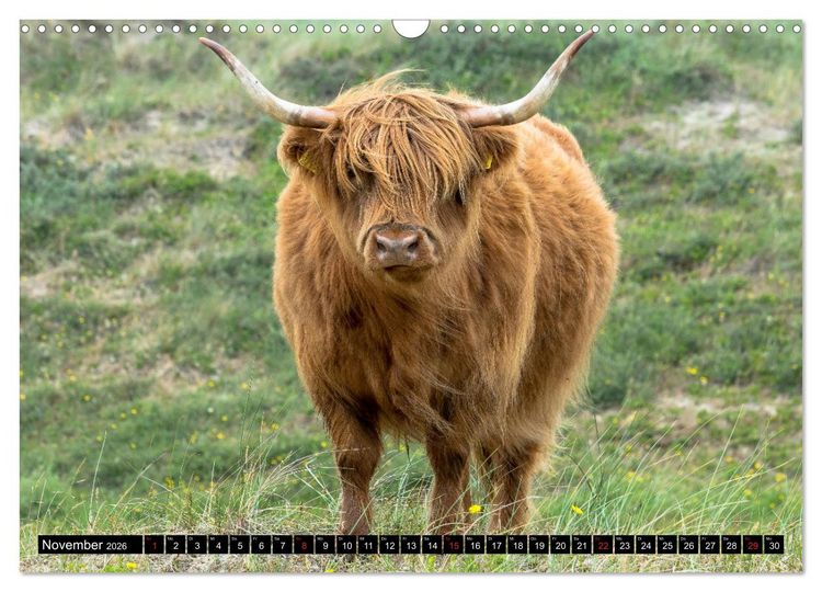 Produktbild: Egmond aan Zee - Nat&uuml;rlich (Wandkalender 2026 DIN A3 quer), CALVENDO Monatskalender