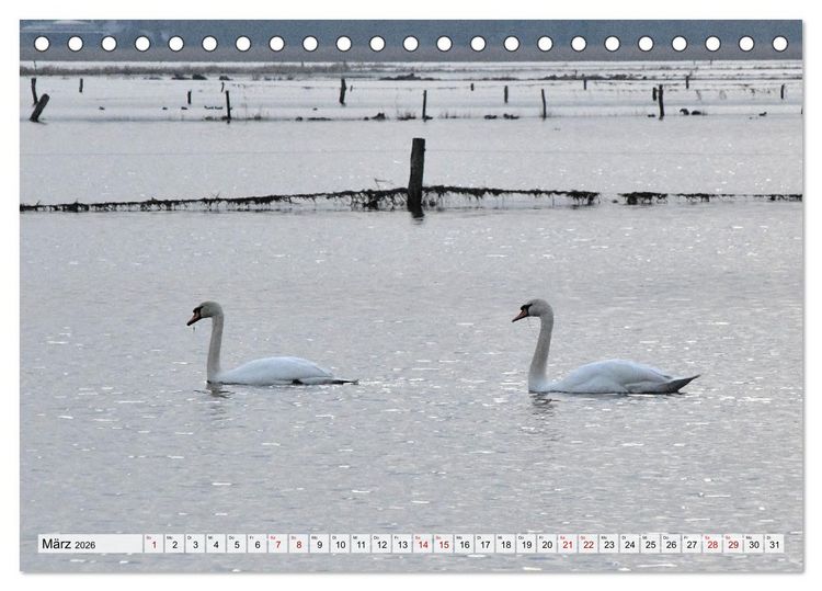 Produktbild: Hochwasser als Teil der Umwelt (Tischkalender 2026 DIN A5 quer), CALVENDO Monatskalender