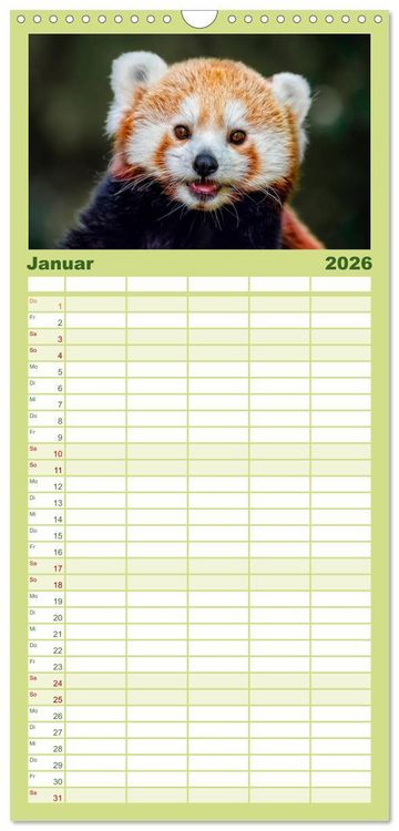 Produktbild: Familienplaner 2026 - Kleiner Panda mit 5 Spalten (Wandkalender, 21 x 45 cm) CALVENDO