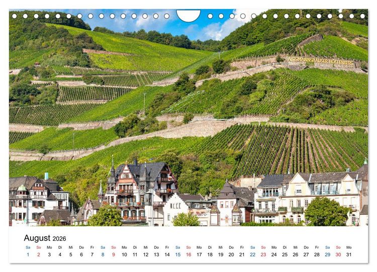 Produktbild: Rheingau - Rhein Riesling Kultur (Wandkalender 2026 DIN A4 quer), CALVENDO Monatskalender