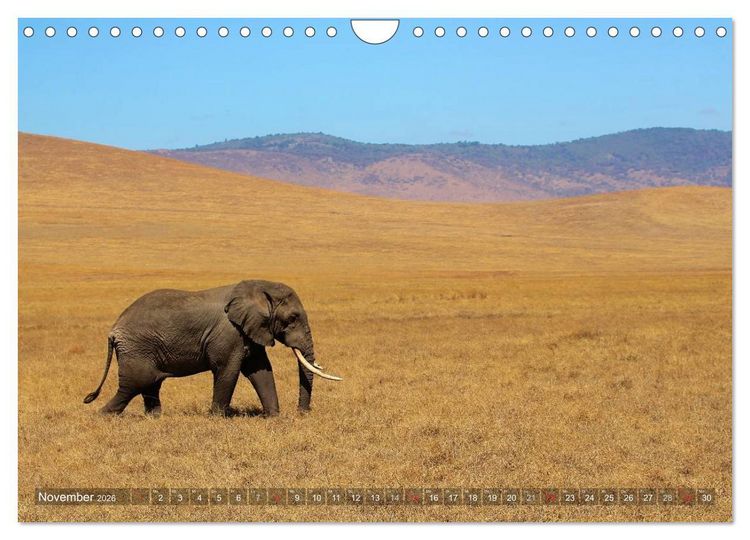 Produktbild: Tansania - Faszinierendes Afrika (Wandkalender 2026 DIN A4 quer), CALVENDO Monatskalender