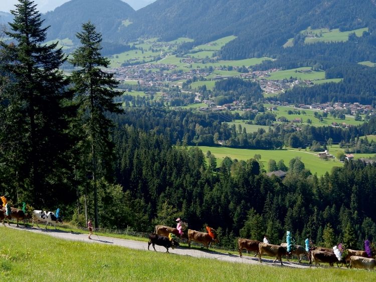 Produktbild: CALVENDO Puzzle Auf dem Weg durch das "S&ouml;lllandl" | 1000 Teile Lege-Gr&ouml;&szlig;e 64x48cm Foto-Puzzle f&uuml;r gl&uuml;ckliche Stunden