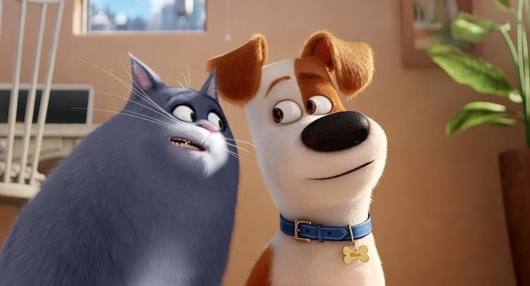 Produktbild: Pets Doppelpack: Pets 1 & Pets 2 [2 DVDs]