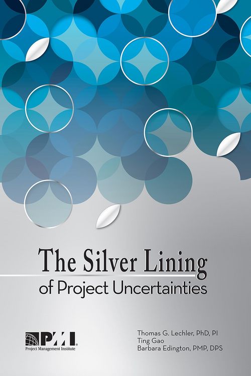 Produktbild: Silver Lining of Project Uncertainties