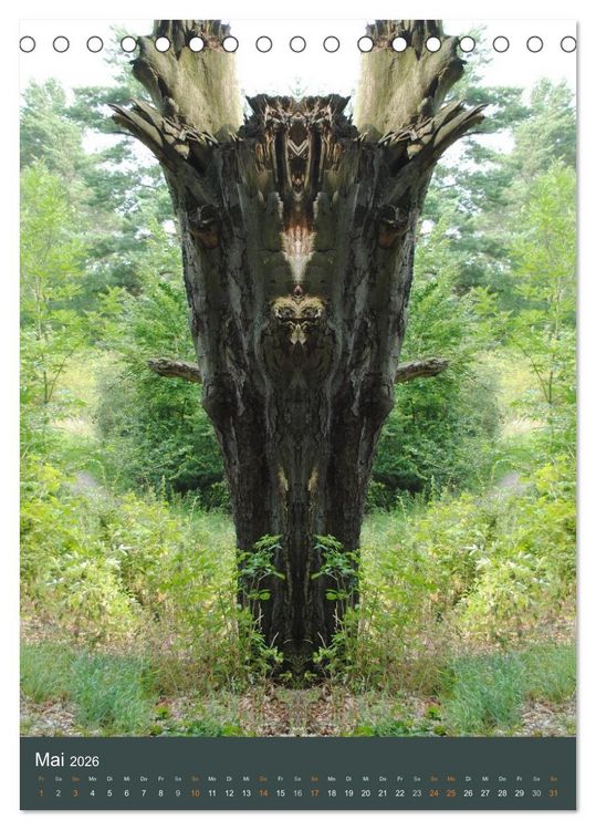 Produktbild: Spiegelwelten - Botschaften der Naturwesen (Tischkalender 2026 DIN A5 hoch), CALVENDO Monatskalender