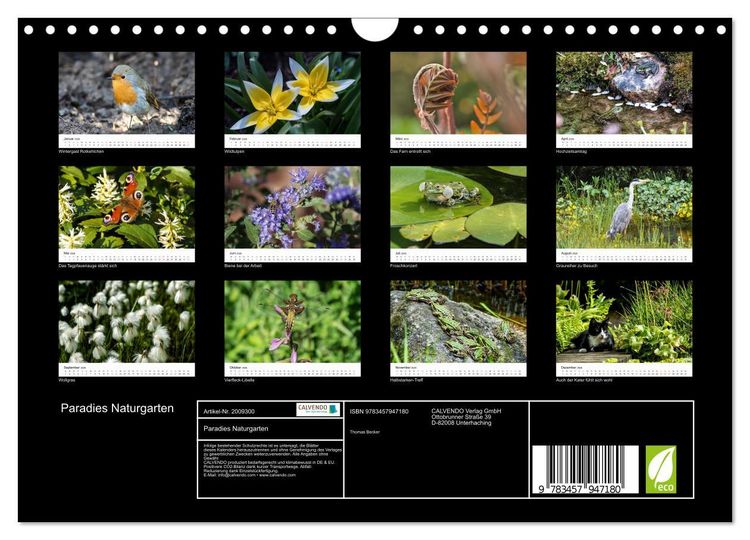 Produktbild: Paradies Naturgarten (Wandkalender 2026 DIN A4 quer), CALVENDO Monatskalender
