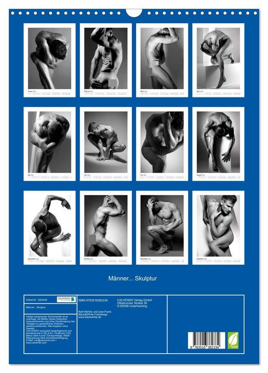 Produktbild: M&auml;nner... Skulptur (Wandkalender 2026 DIN A3 hoch), CALVENDO Monatskalender