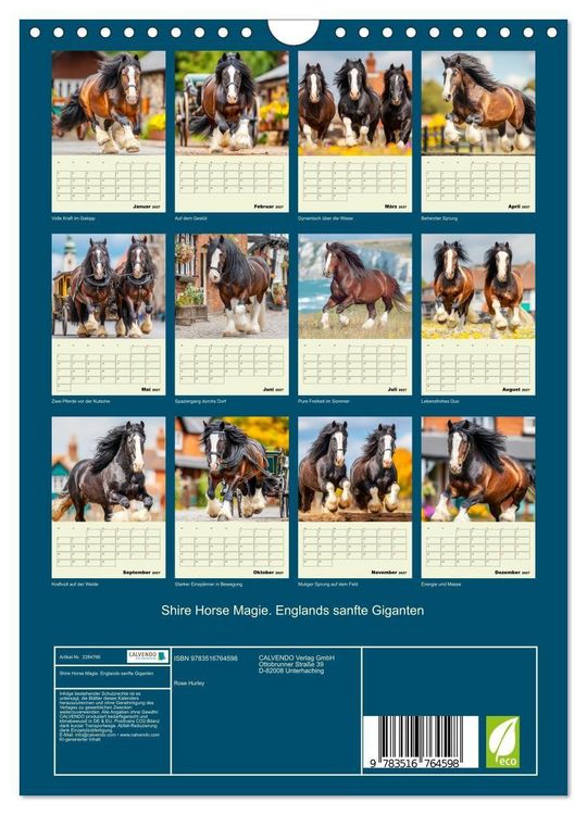 Produktbild: Shire Horse Magie. Englands sanfte Giganten (Wandkalender 2027 DIN A4 hoch), CALVENDO Monatskalender