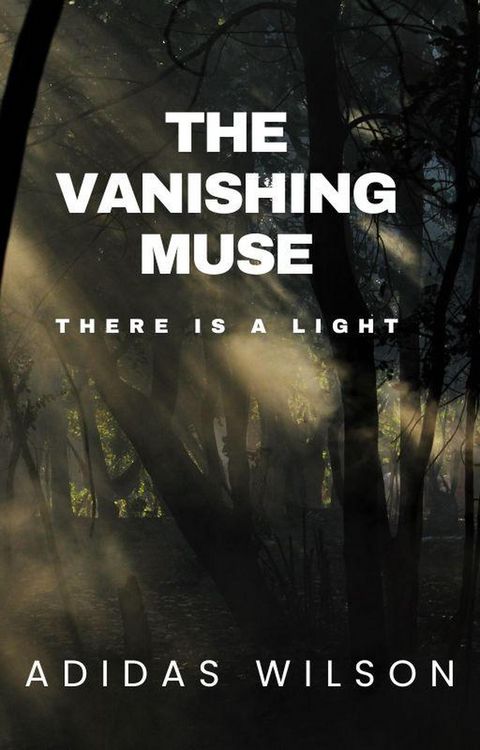 Produktbild: The Vanishing Muse - There Is A Light