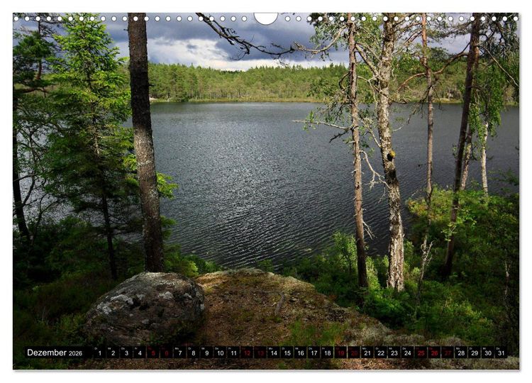 Produktbild: Tiveden, der NatURWALD in Schweden (Wandkalender 2026 DIN A3 quer), CALVENDO Monatskalender