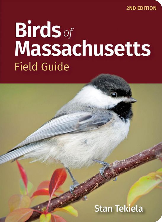 Produktbild: Birds of Massachusetts Field Guide