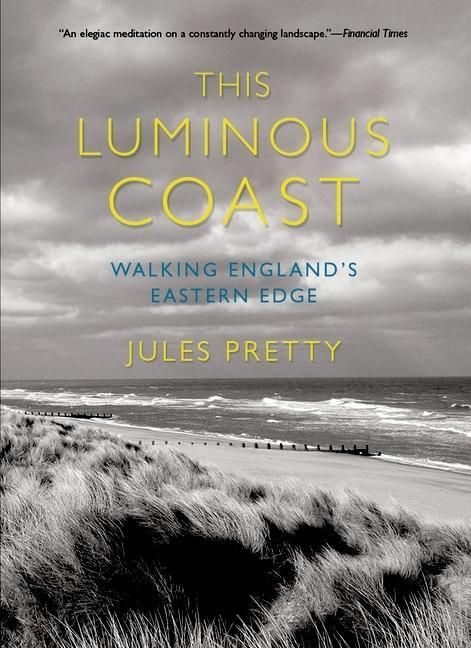 Produktbild: This Luminous Coast