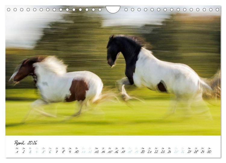 Produktbild: Pferde vom Wind verweht (Wandkalender 2026 DIN A4 quer), CALVENDO Monatskalender
