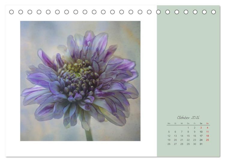 Produktbild: Bl&uuml;tentr&auml;ume (Tischkalender 2026 DIN A5 quer), CALVENDO Monatskalender